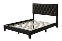 Home Design Daisy Modern Upholstered Platform Bed Frame for Adults, Button Tufted Headboard