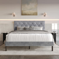Home Design Groton Tufted Velvet Upholstered Panel Bed Frame