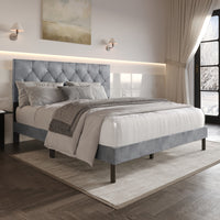 Home Design Groton Tufted Velvet Upholstered Panel Bed Frame