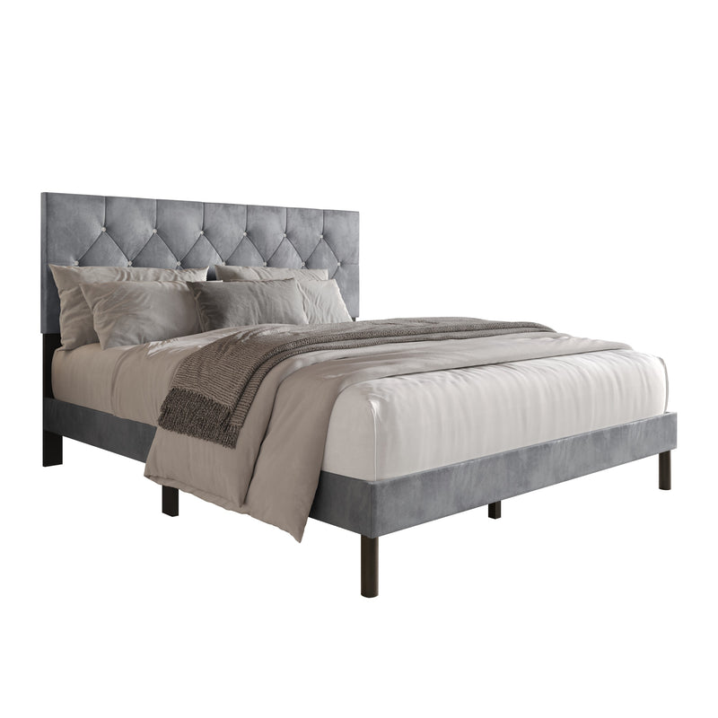 Home Design Groton Tufted Velvet Upholstered Panel Bed Frame