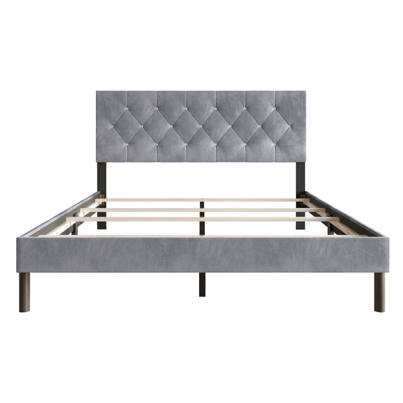 Home Design Groton Tufted Velvet Upholstered Panel Bed Frame