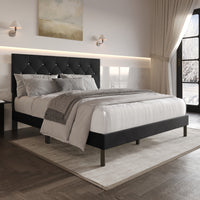 Home Design Groton Tufted Velvet Upholstered Panel Bed Frame