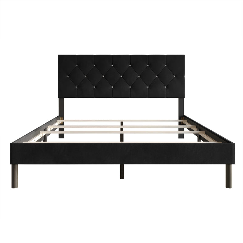 Home Design Groton Tufted Velvet Upholstered Panel Bed Frame