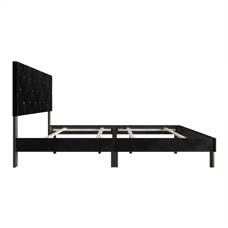 Home Design Groton Tufted Velvet Upholstered Panel Bed Frame